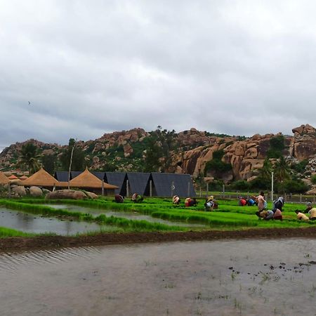 Golden Chariot Resort Hampi Zewnętrze zdjęcie