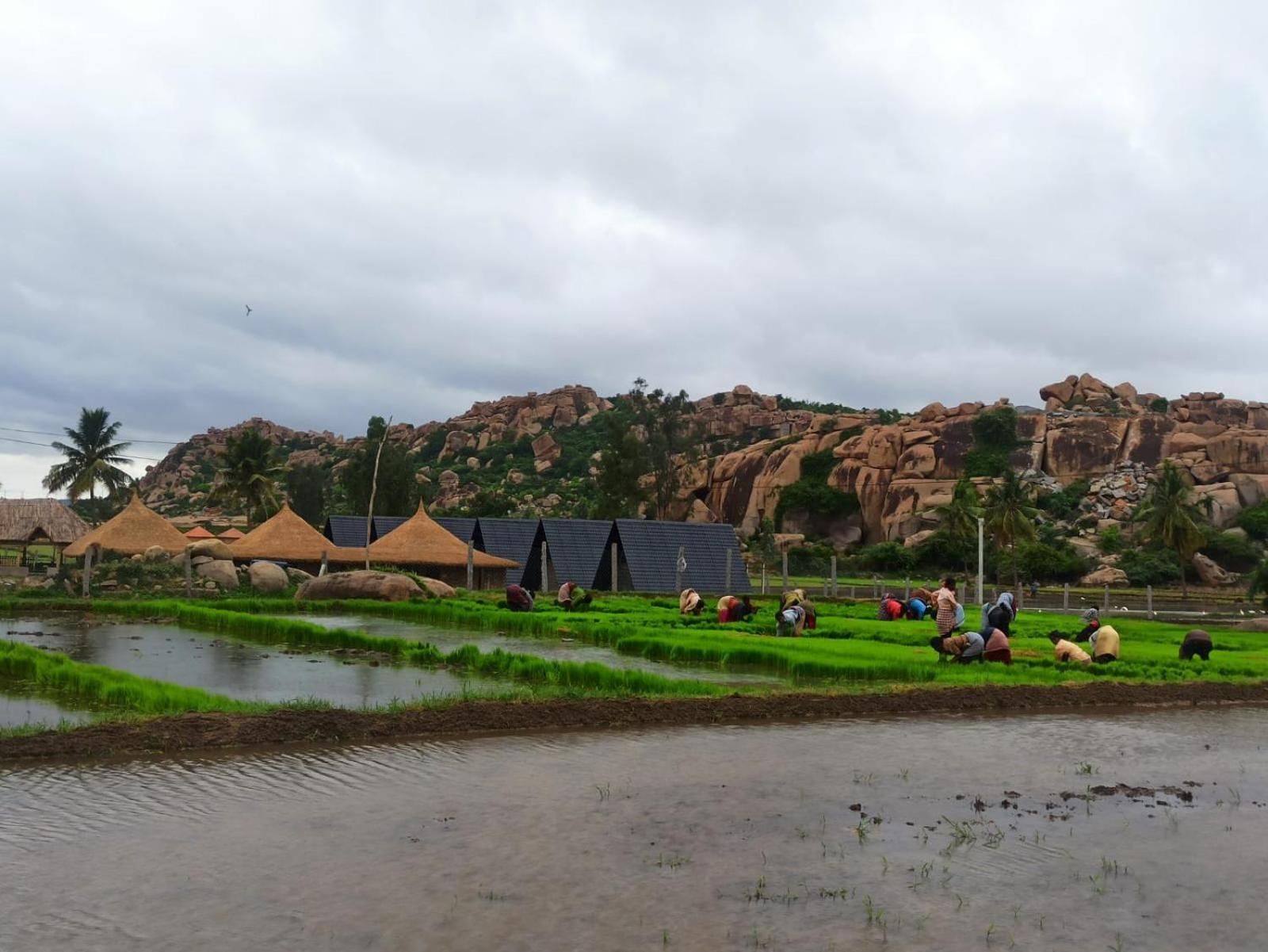 Golden Chariot Resort Hampi Zewnętrze zdjęcie